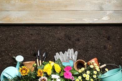 Flat lay composition with gardening tools and flowers on soil, space for text