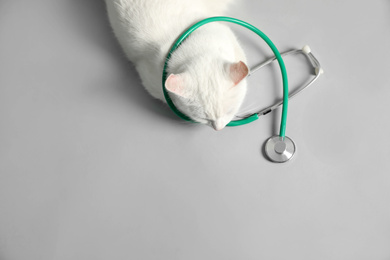 Photo of Cute cat with stethoscope as veterinarian on grey background, above view. Space for text