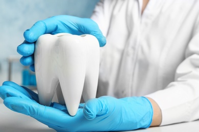 Dentist holding ceramic model of tooth at table, closeup