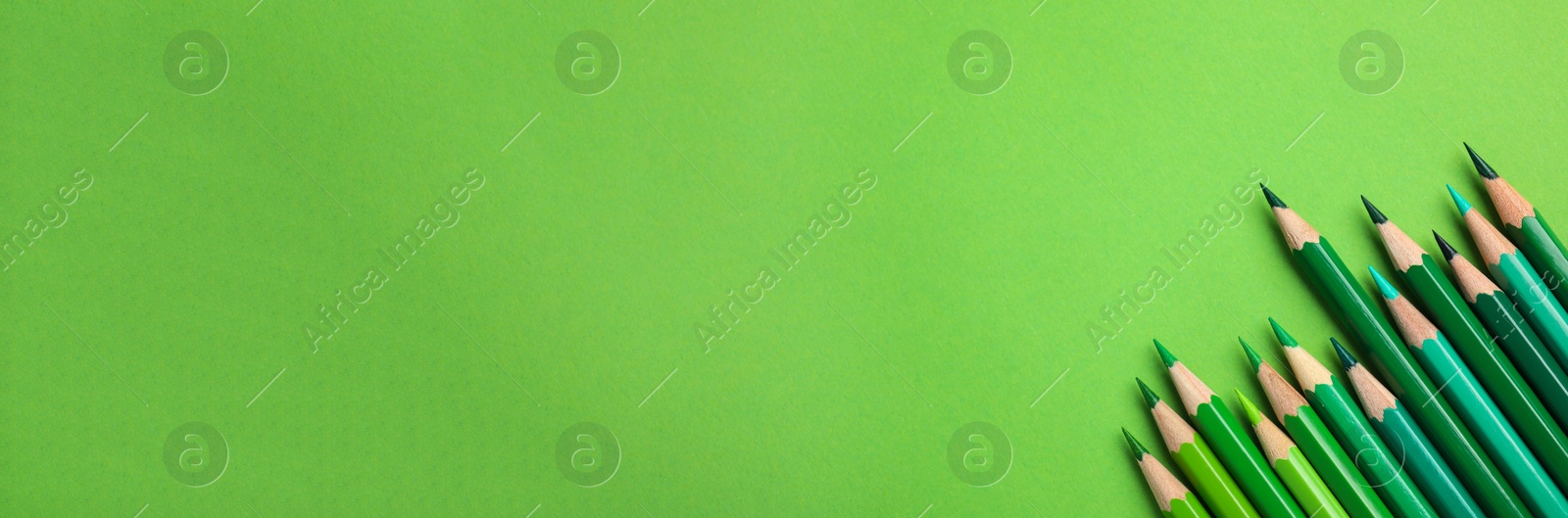 Image of Color pencils on green background, flat lay with space for text. Banner design