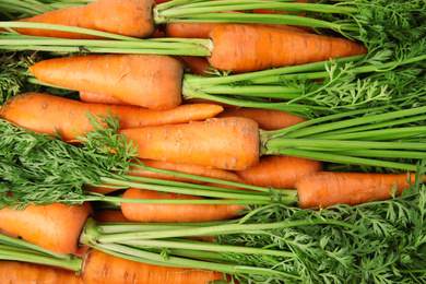 Photo of Fresh ripe carrots as background, top view