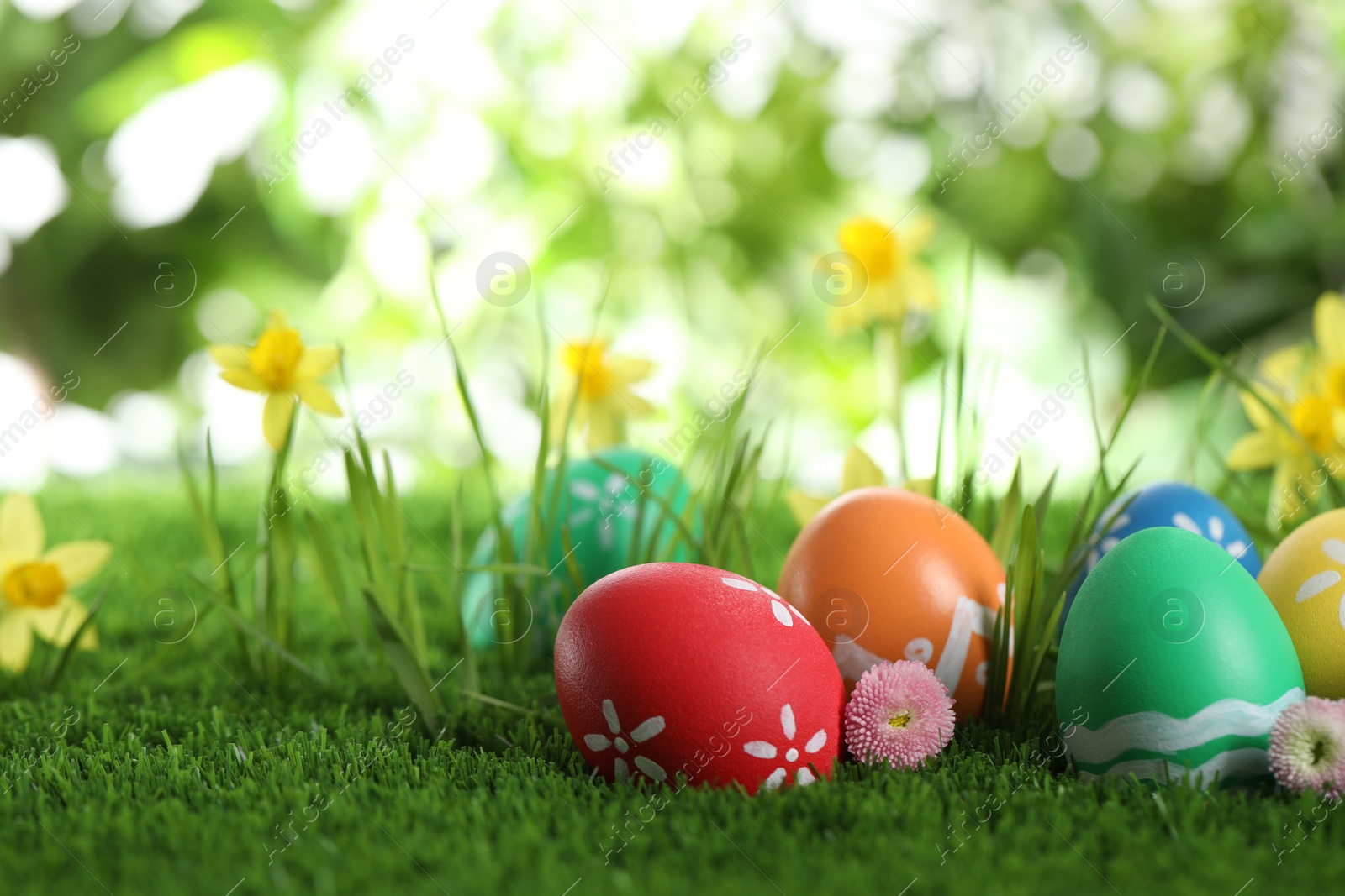 Photo of Colorful Easter eggs and flowers in green grass. Space for text