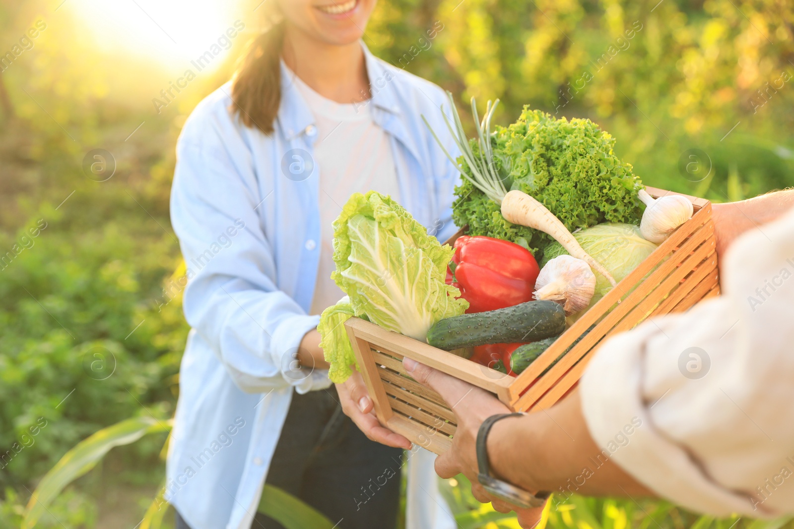 Photo of Woman and man harvesting different fresh ripe vegetables on farm, closeup