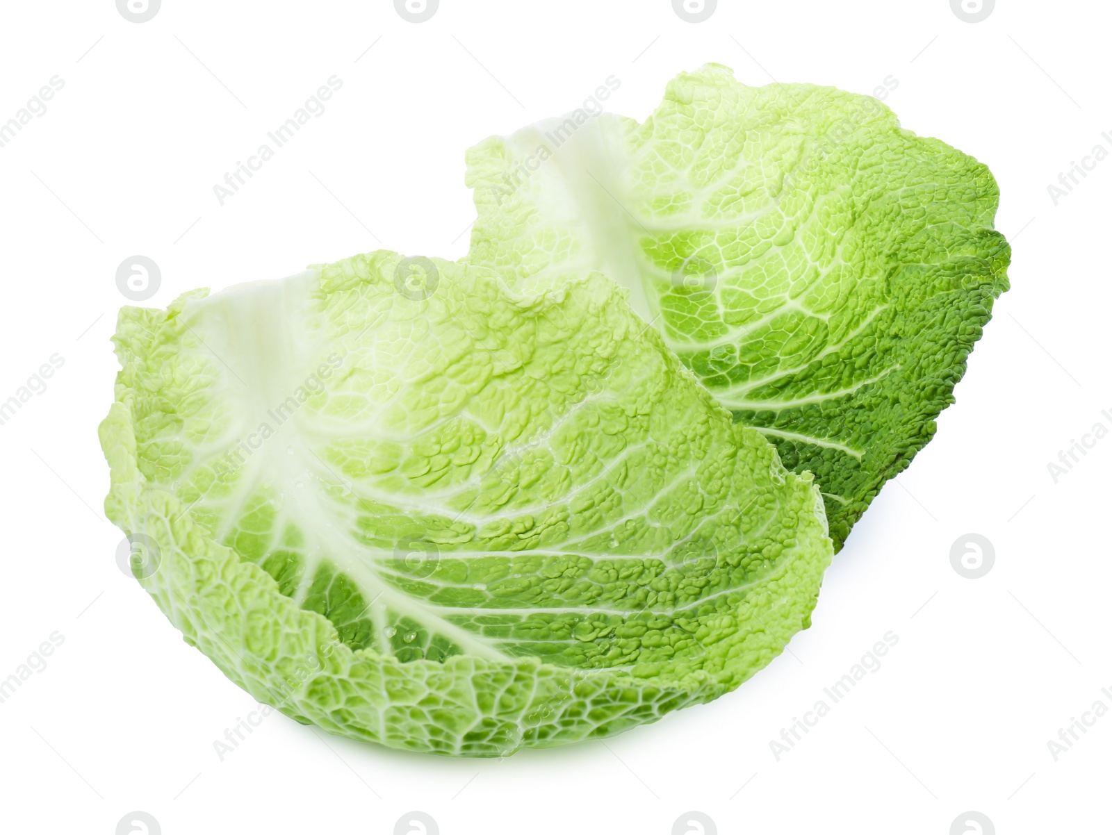 Photo of Fresh leaves of savoy cabbage on white background