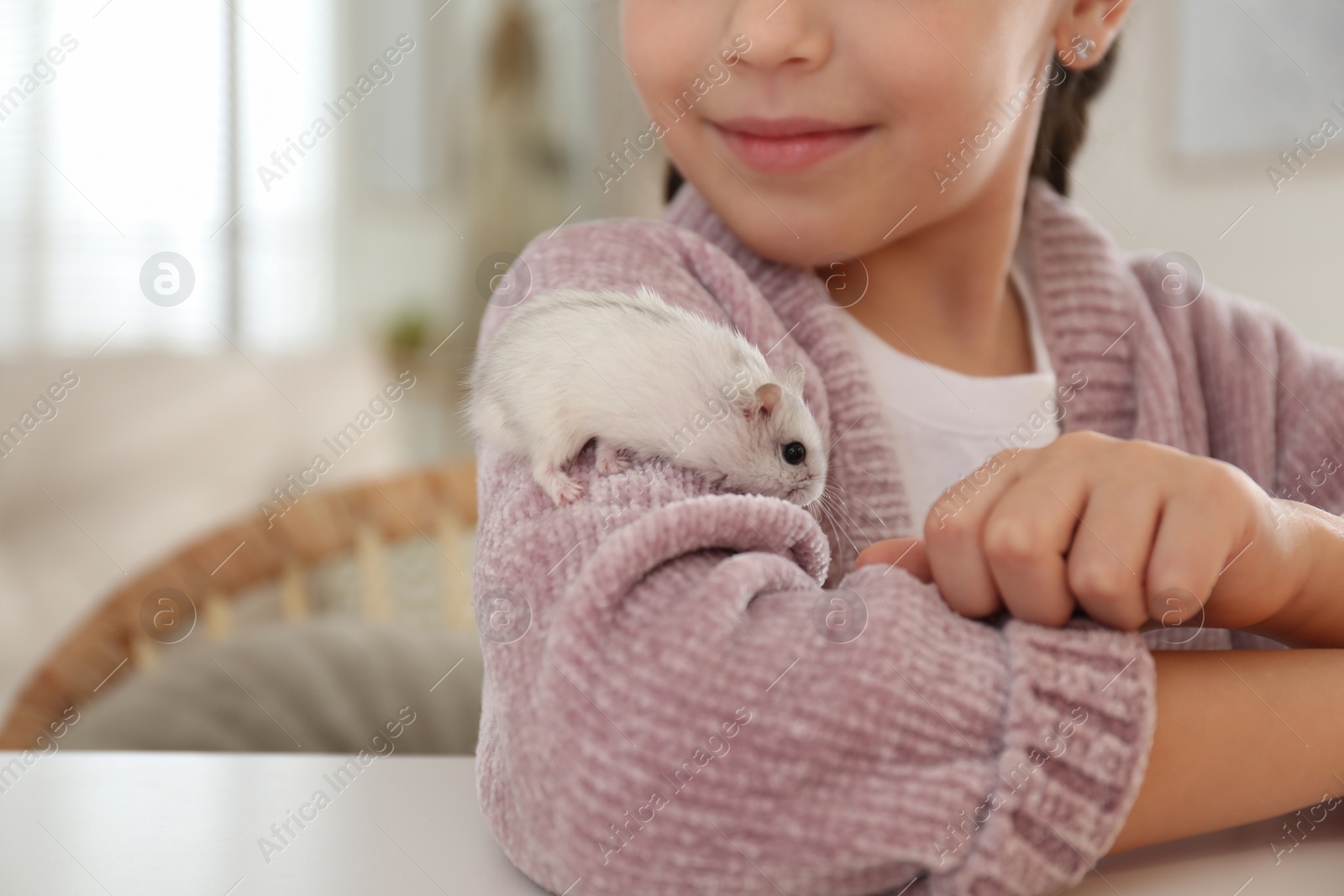 Photo of Little girl with cute hamster at table indoors, closeup