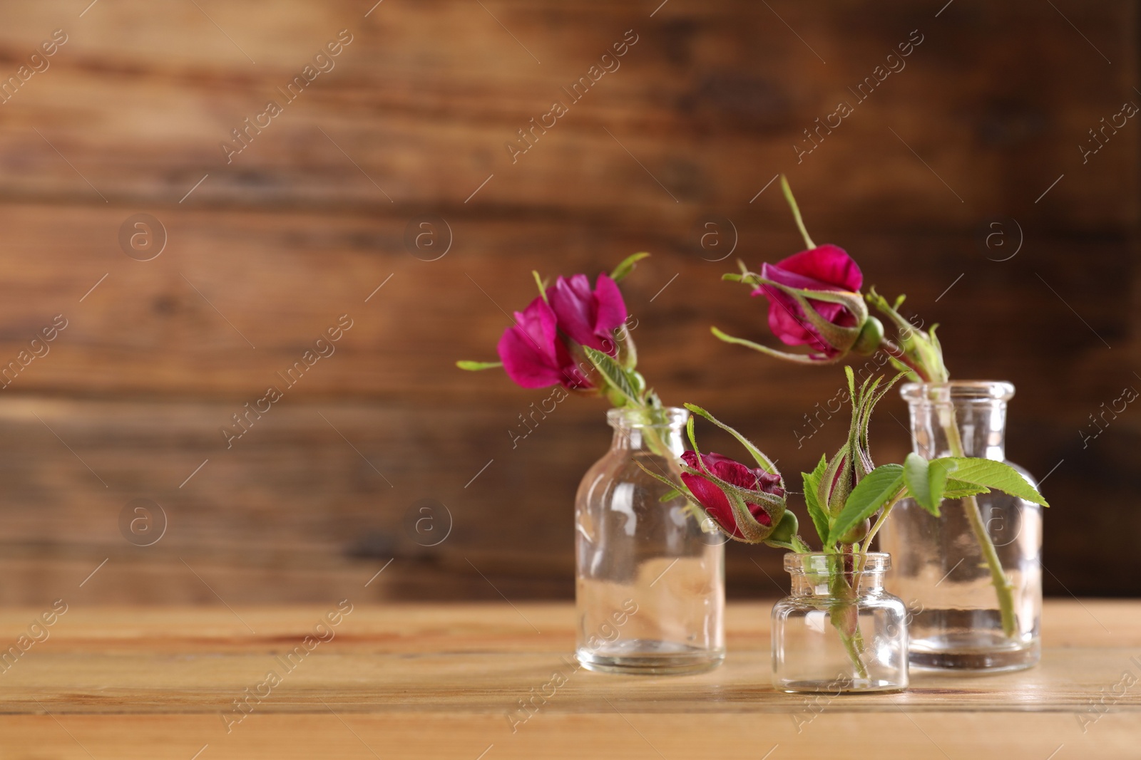 Photo of Beautiful roses in glass bottles on wooden table, space for text