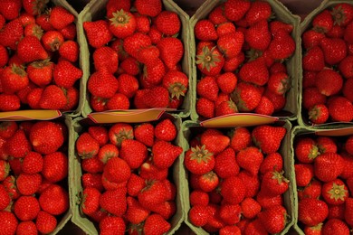 Many fresh strawberries in containers at market, top view