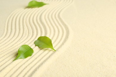 Photo of Zen rock garden. Wave pattern and green leaves on beige sand