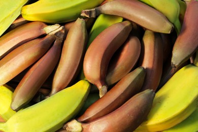 Photo of Different types of bananas as background, top view