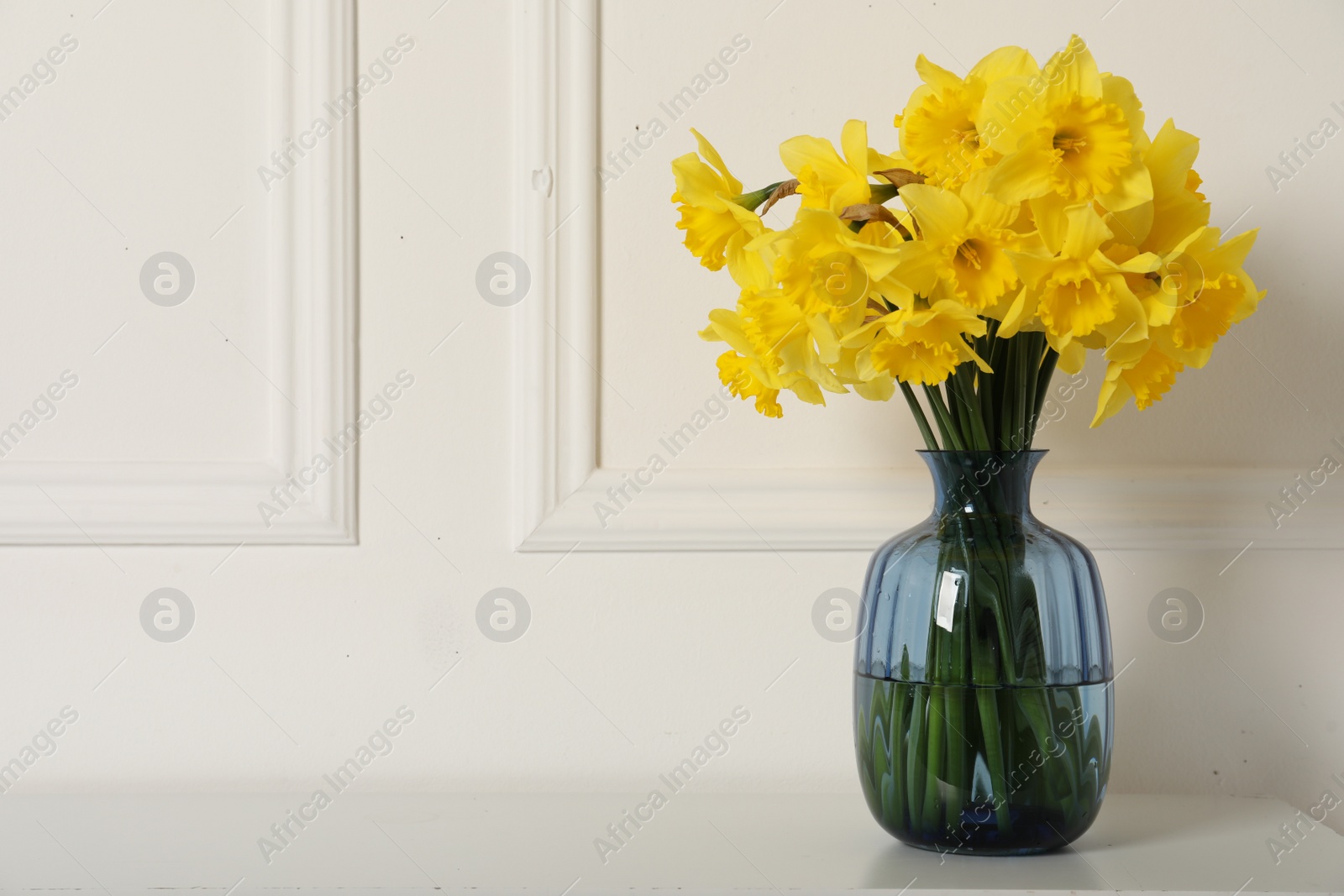 Photo of Beautiful daffodils in vase on table near white wall indoors, space for text