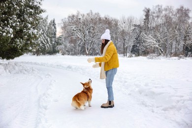 Photo of Woman and adorable Pembroke Welsh Corgi dog playing with ball in snowy park