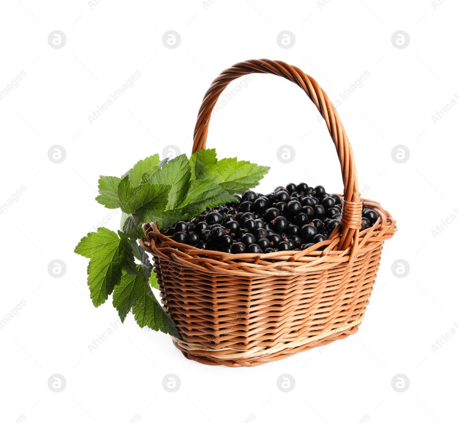 Photo of Ripe blackcurrants and leaves in wicker basket isolated on white