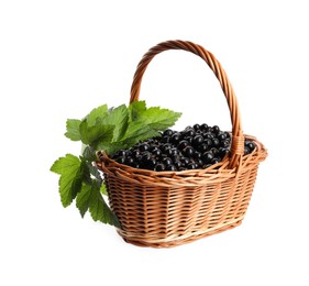 Ripe blackcurrants and leaves in wicker basket isolated on white