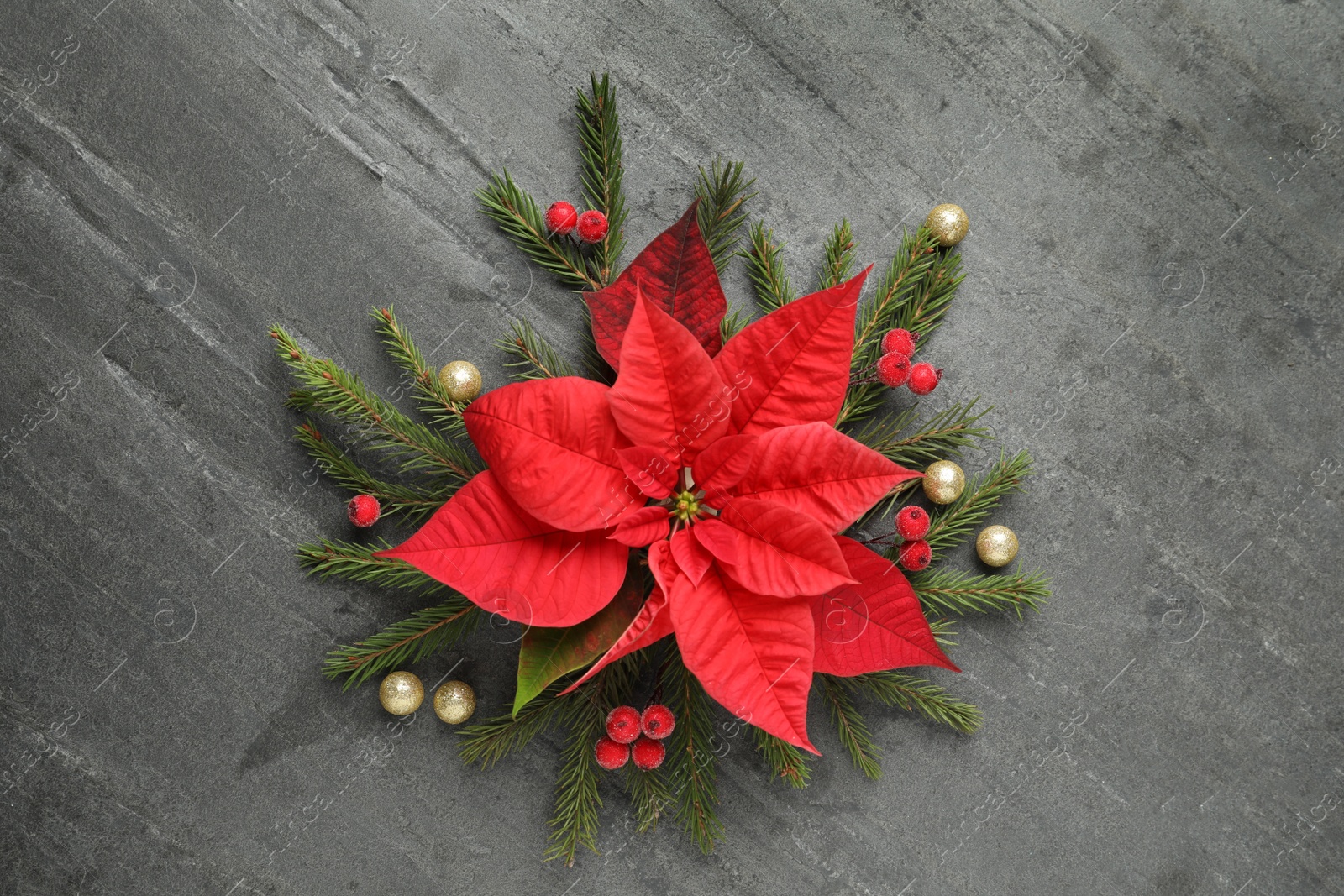 Photo of Flat lay composition with beautiful poinsettia on grey background. Christmas traditional flower