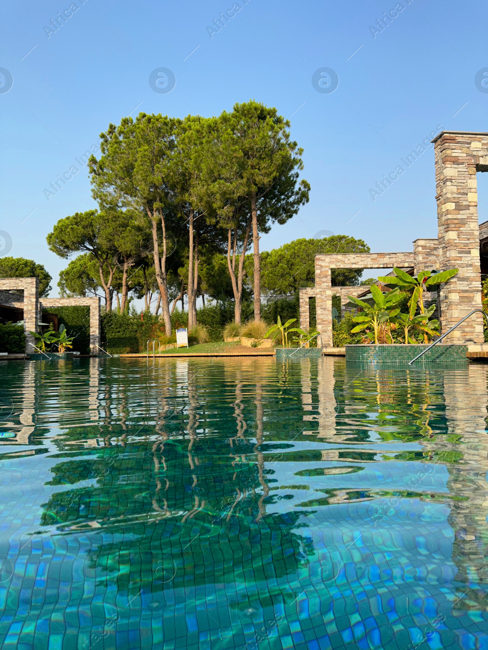 Photo of Swimming pool and exotic plants at luxury resort