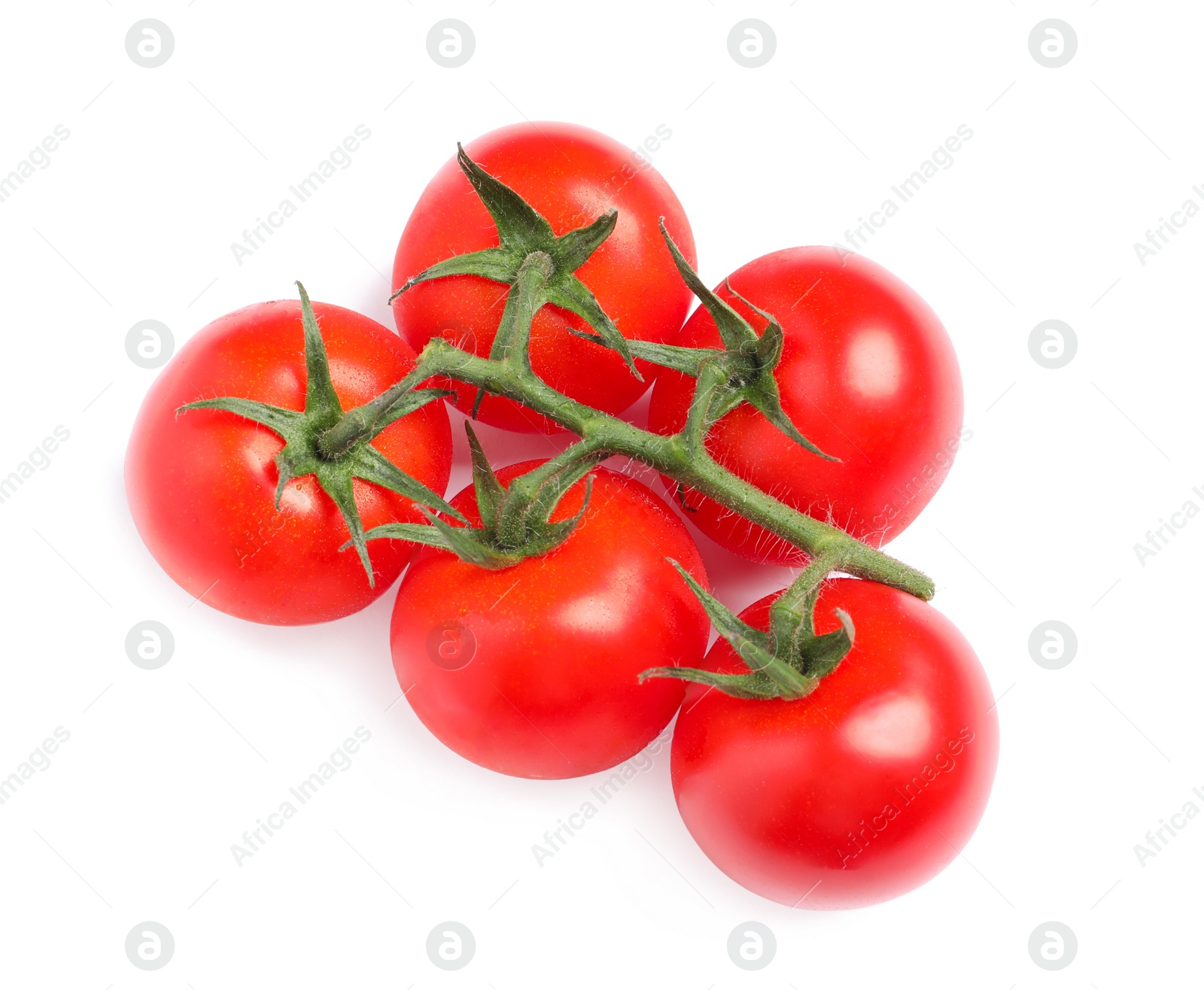 Photo of Branch of fresh cherry tomatoes isolated on white