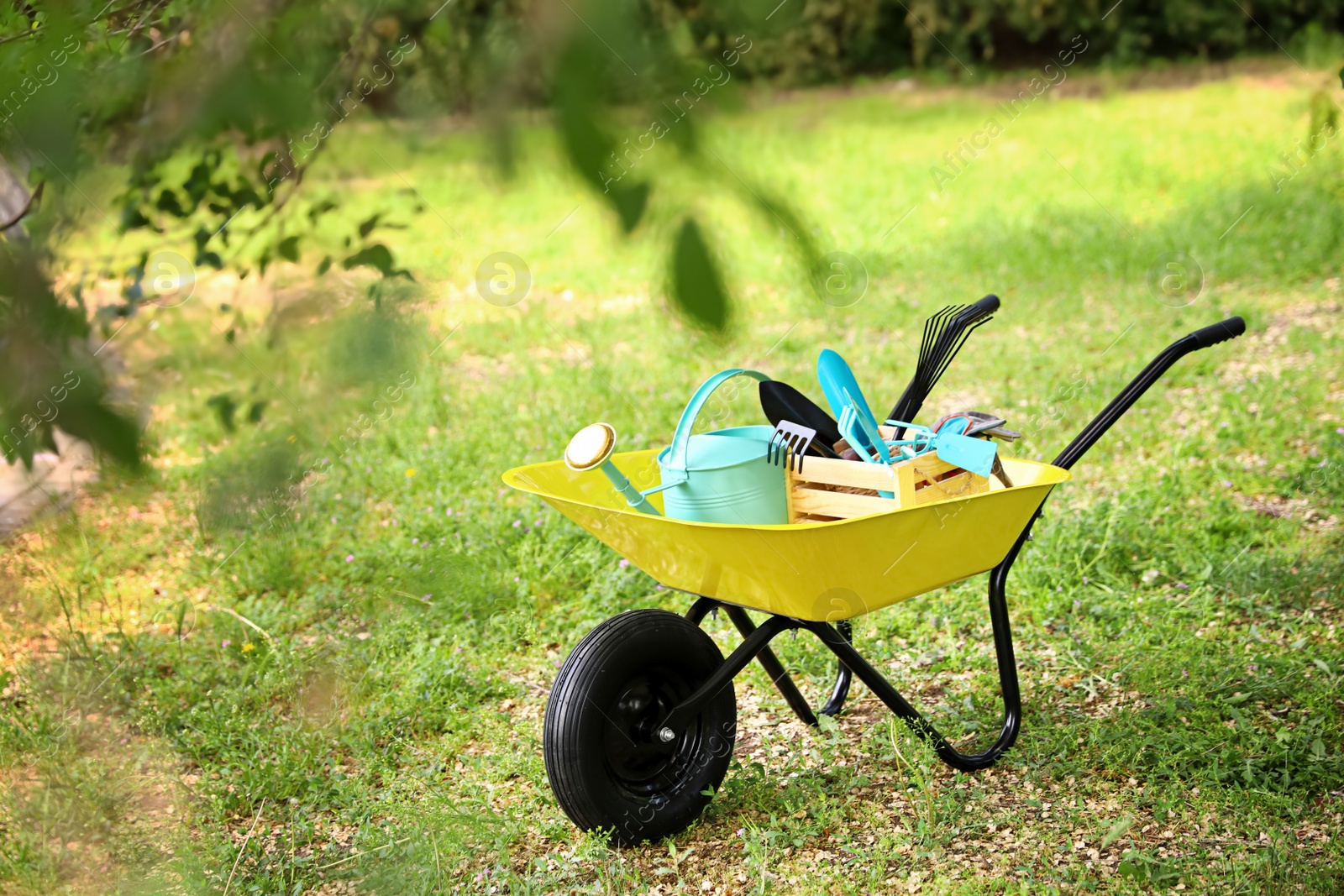 Photo of Wheelbarrow with gardening tools on grass outside. Space for text