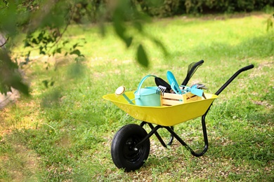 Wheelbarrow with gardening tools on grass outside. Space for text