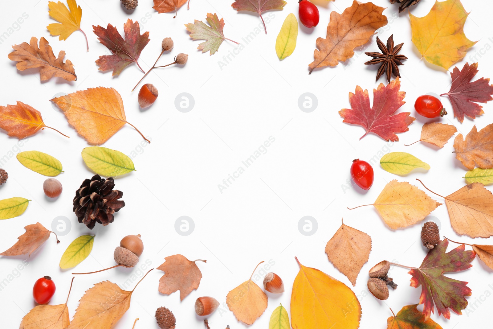 Photo of Beautiful composition with autumn leaves on white background, flat lay. Space for text