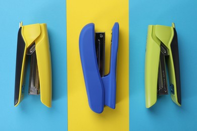 Photo of Bright staplers on color background, flat lay