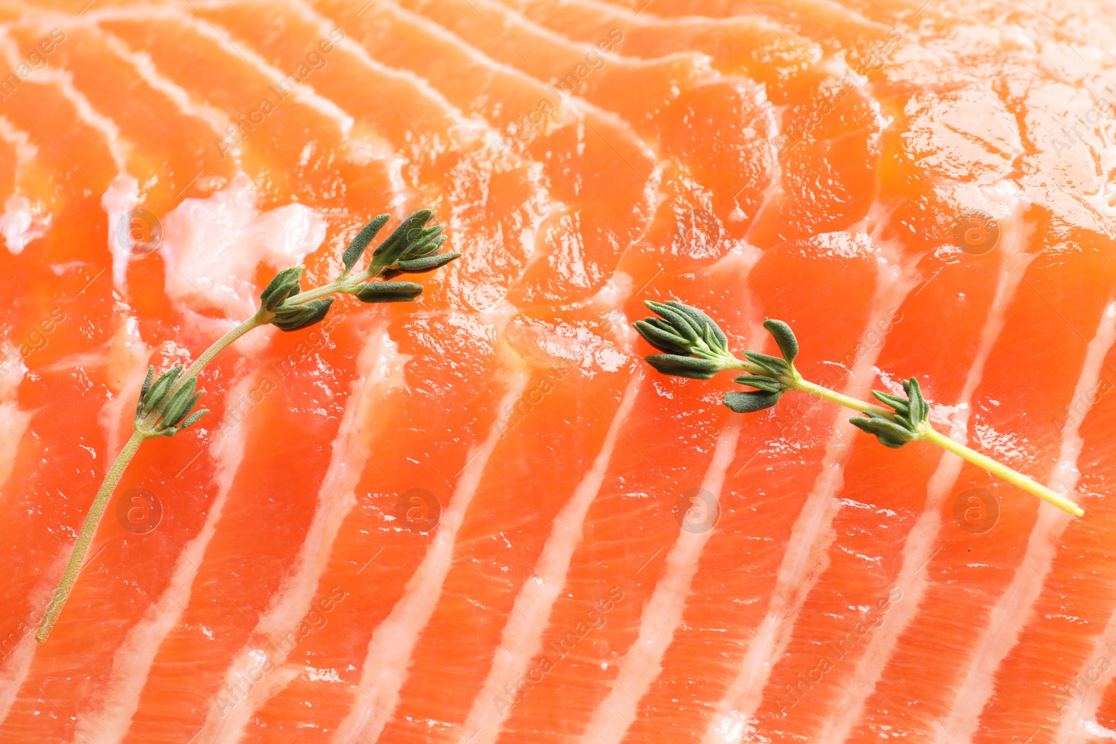 Photo of Raw salmon fillet with thyme as background, closeup