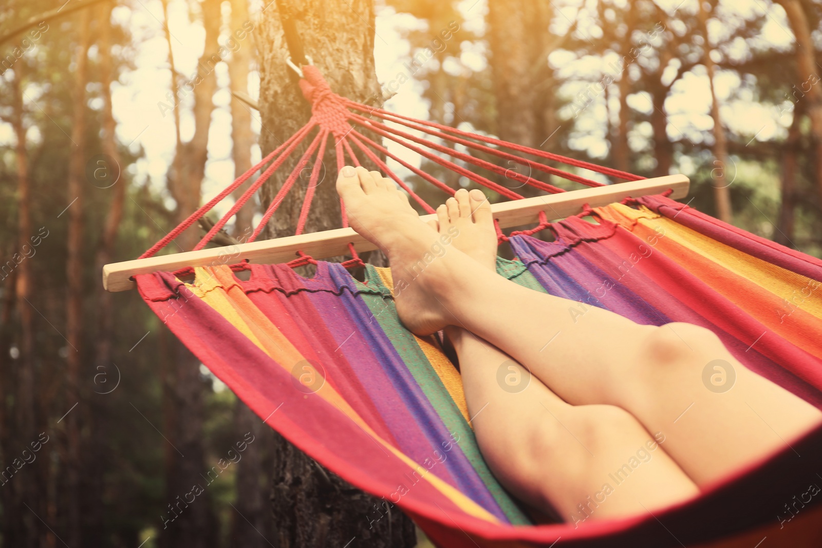 Photo of Woman resting in hammock outdoors on summer day, closeup