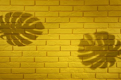 Photo of Shadows of monstera leaves on yellow brick wall
