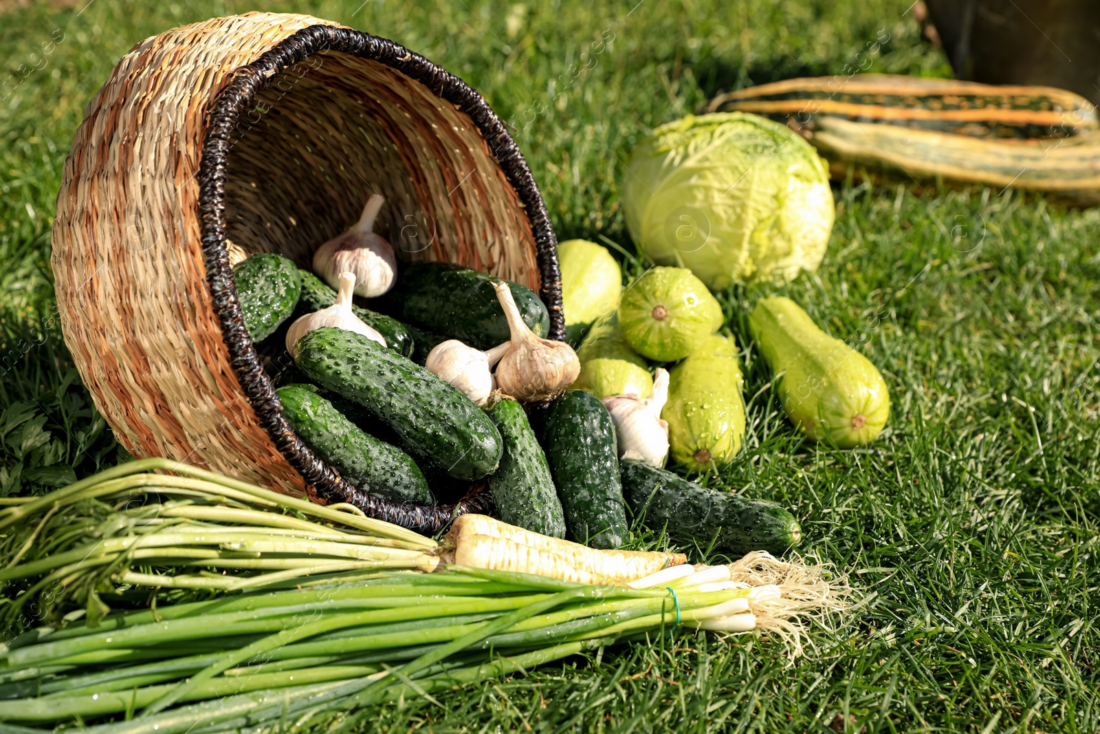 Photo of Scattered fresh ripe vegetables and wicker basket on green grass