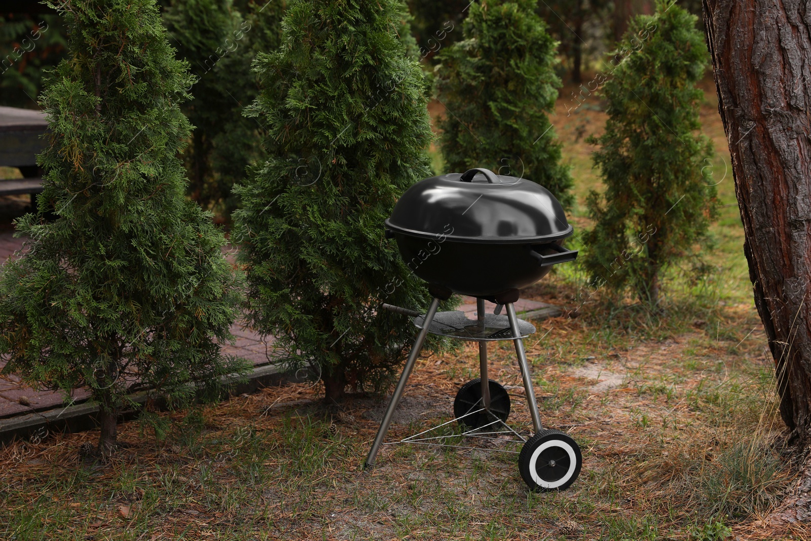 Photo of New barbecue grill near green trees in garden