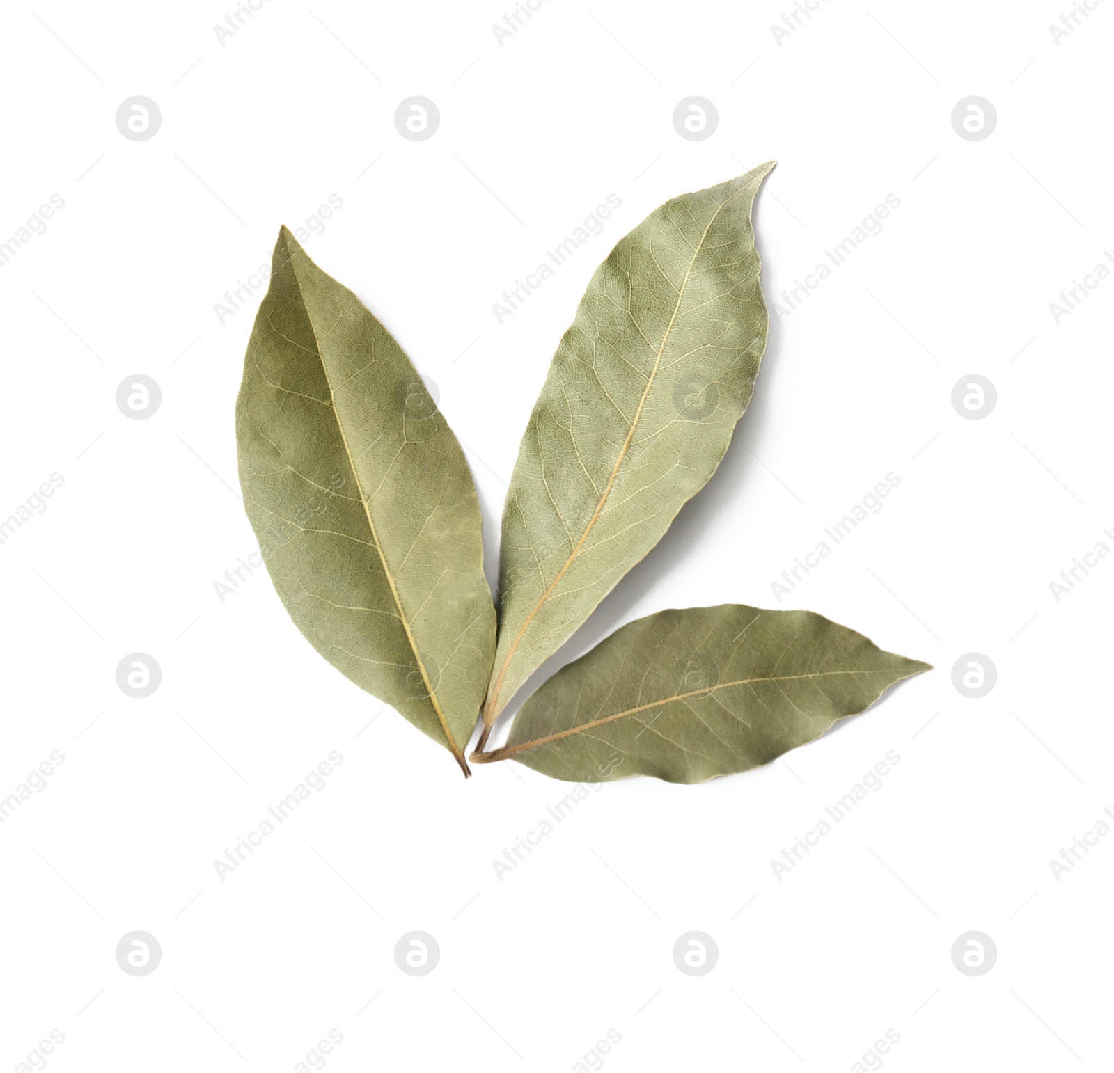 Photo of Aromatic bay leaves on white background, top view