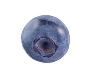 Photo of One fresh ripe blueberry isolated on white