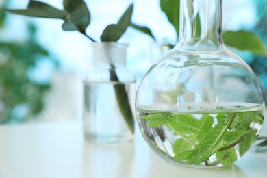 Photo of Leaves in glass flask on table, closeup with space for text. Plant chemistry