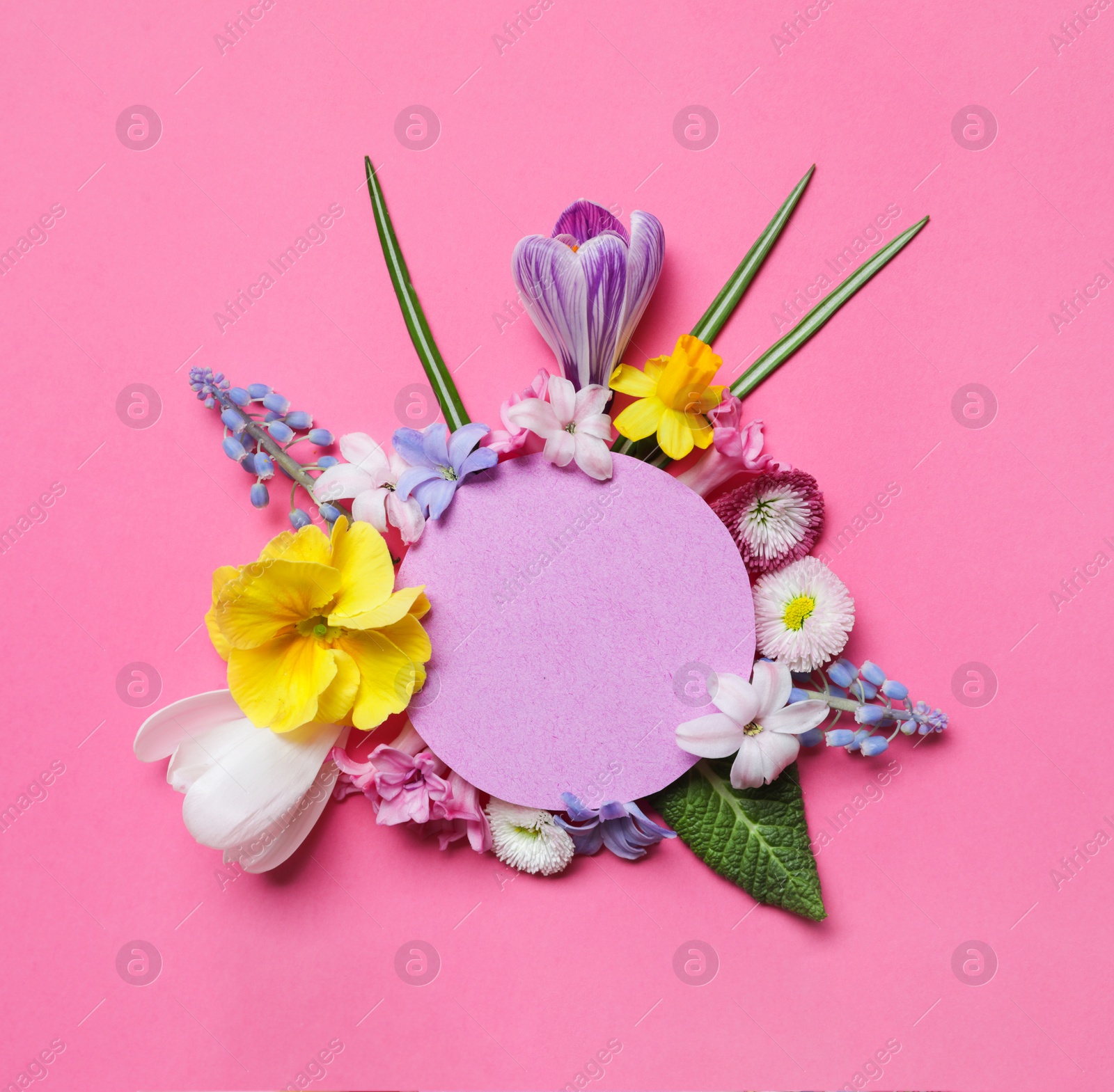 Photo of Flat lay composition with spring hyacinth flowers and blank card on color background, space for text