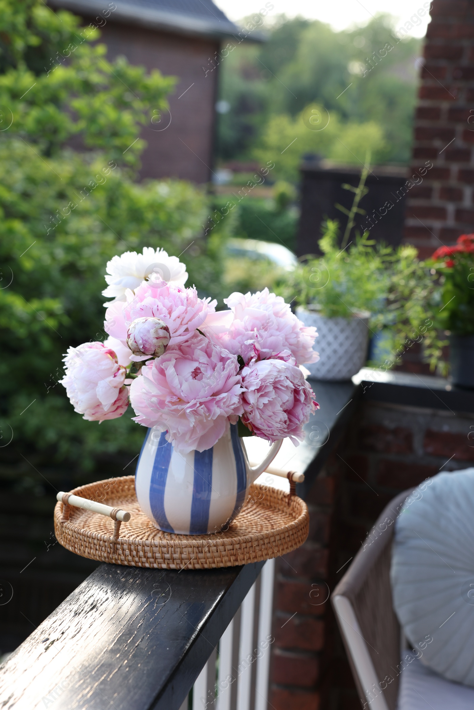 Photo of Beautiful pink peony flowers in vase on balcony railing outdoors