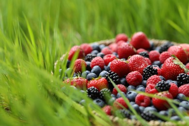 Wicker bowl with different fresh ripe berries in green grass outdoors, closeup