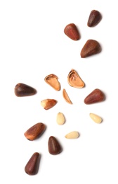 Composition with pine nuts on white background, top view