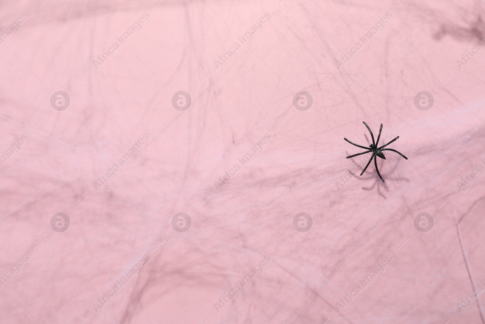 Photo of Cobweb and spider on pink background, top view