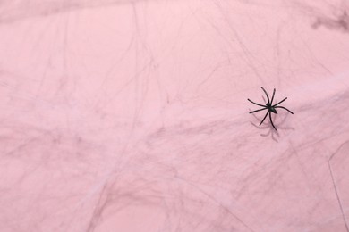 Cobweb and spider on pink background, top view