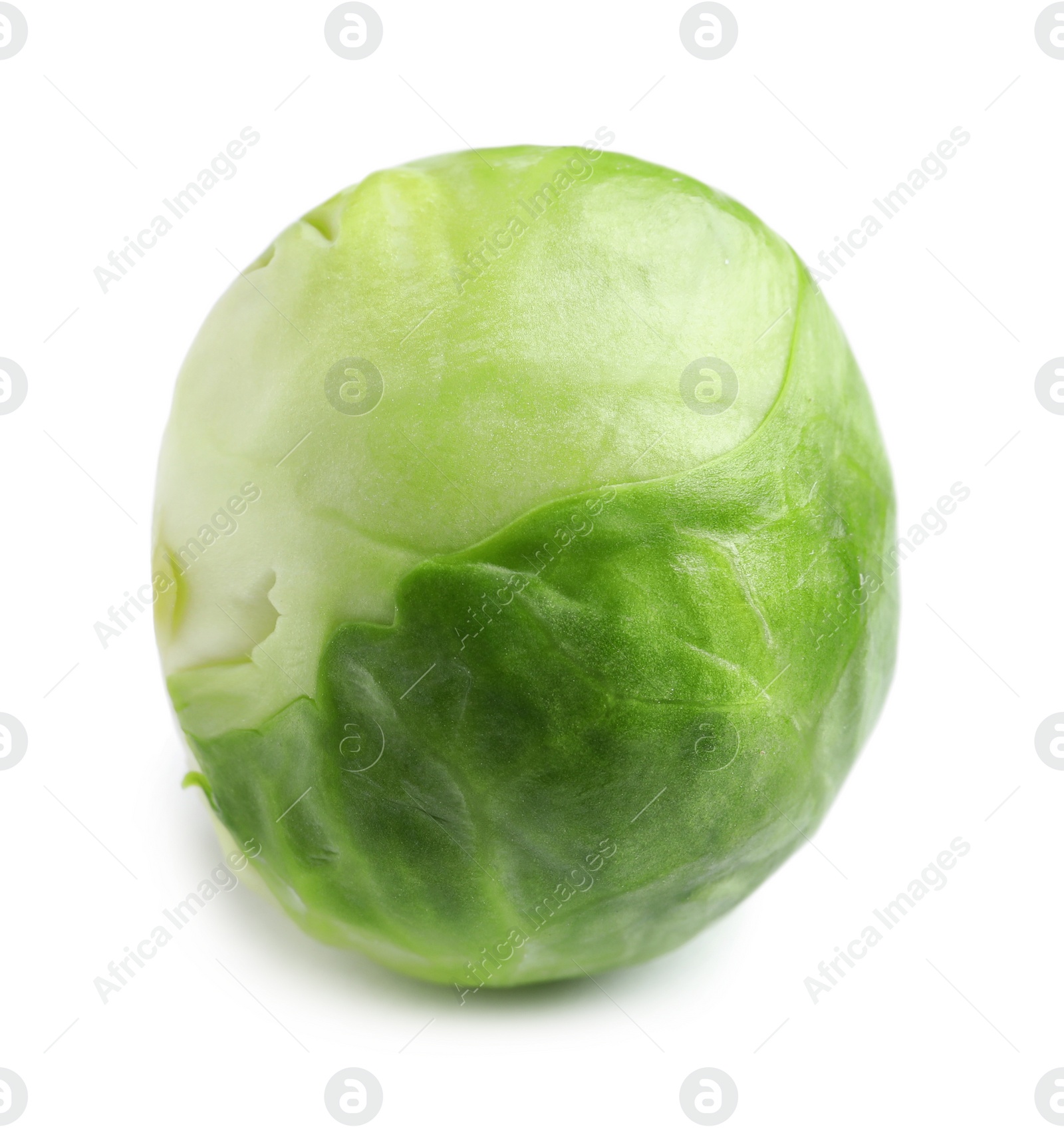 Photo of Fresh tasty Brussels sprout on white background