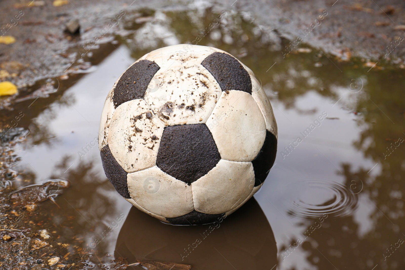 Photo of Dirty soccer ball in muddy puddle outdoors