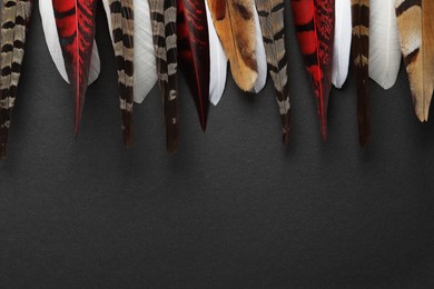 Many beautiful bird feathers on black background, flat lay. Space for text