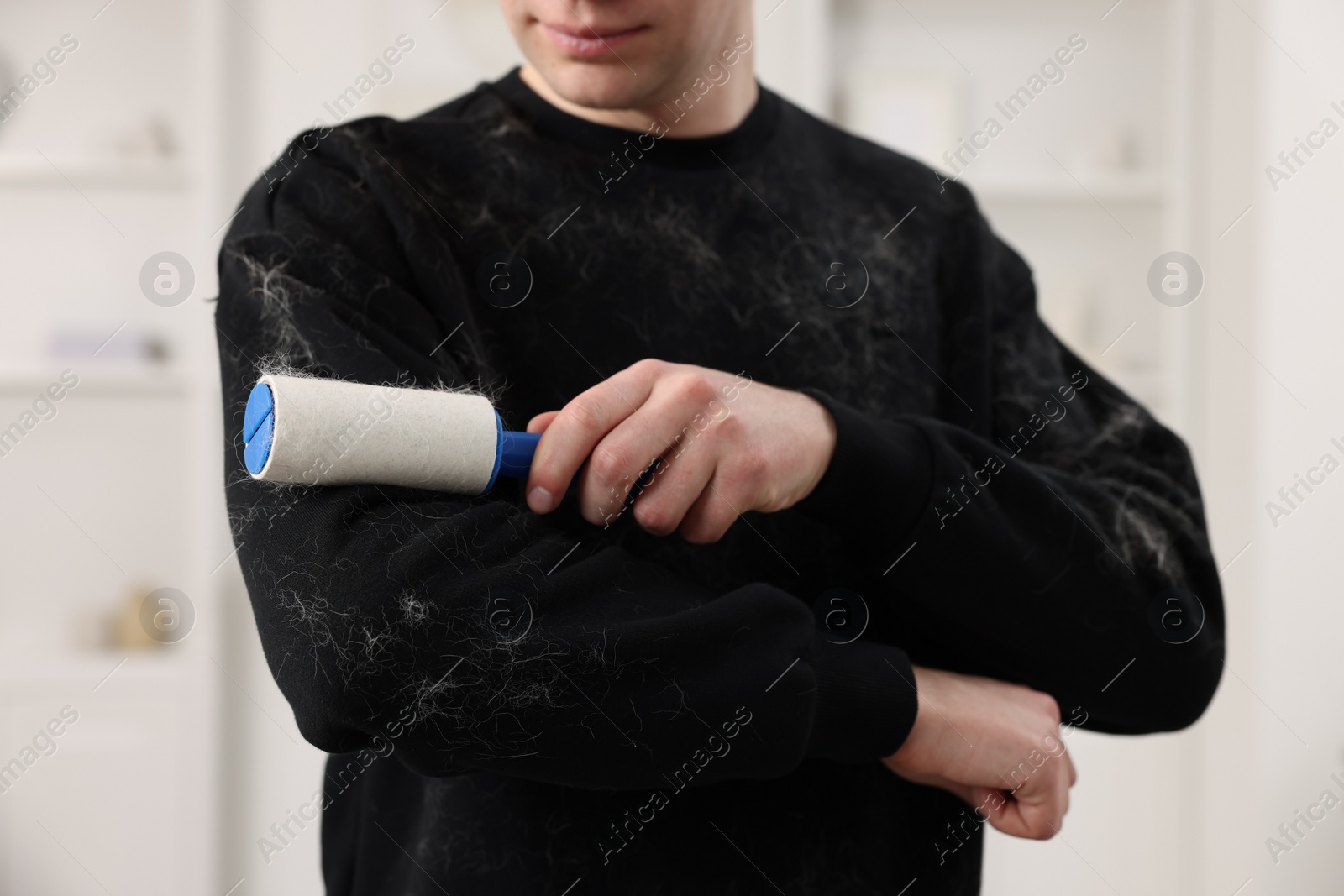 Photo of Pet shedding. Man with lint roller removing dog's hair from sweater at home, closeup