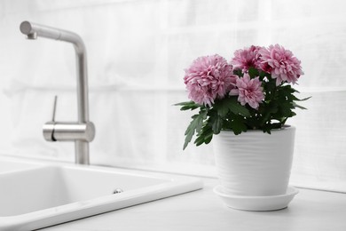 Photo of Pot with beautiful chrysanthemum flowers on white countertop in kitchen. Space for text