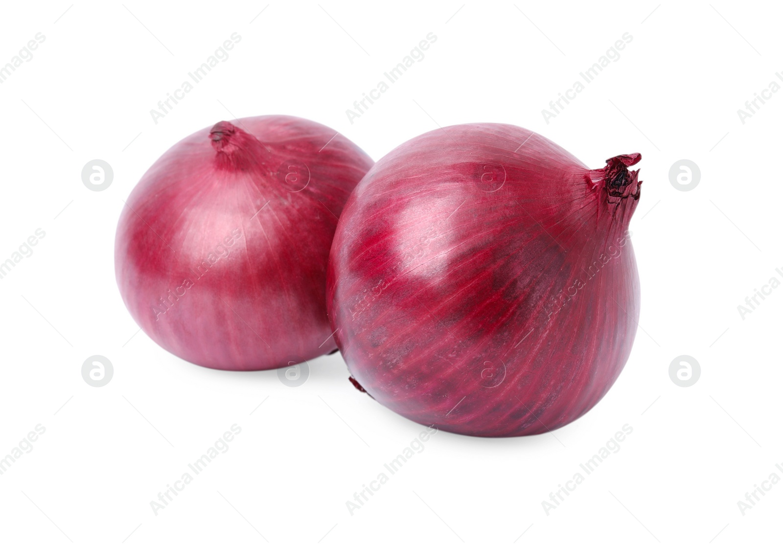 Photo of Two fresh red onions on white background