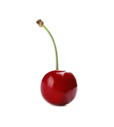 Sweet red cherry on white background