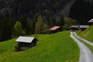 Photo of Picturesque view of valley with houses, pathway and forest in mountains