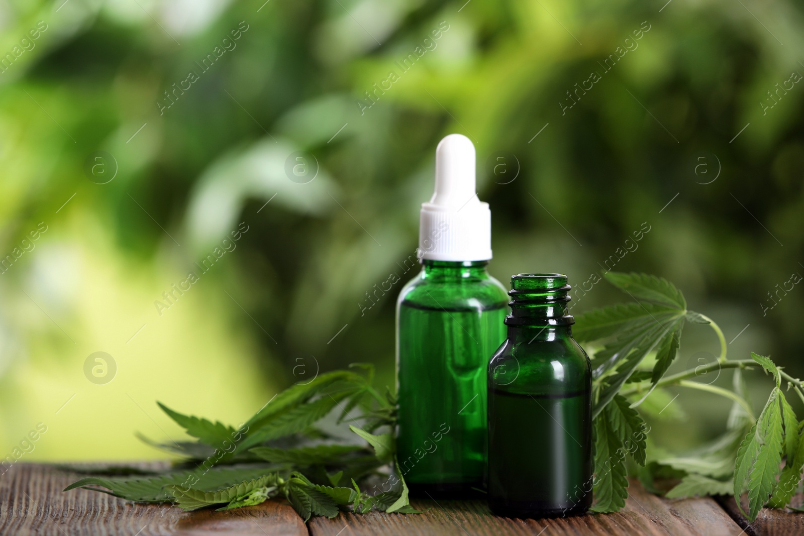 Photo of Hemp leaves, bottles of CBD oil and THC tincture on wooden table. Space for text