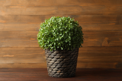 Artificial plant in wicker flower pot on wooden table