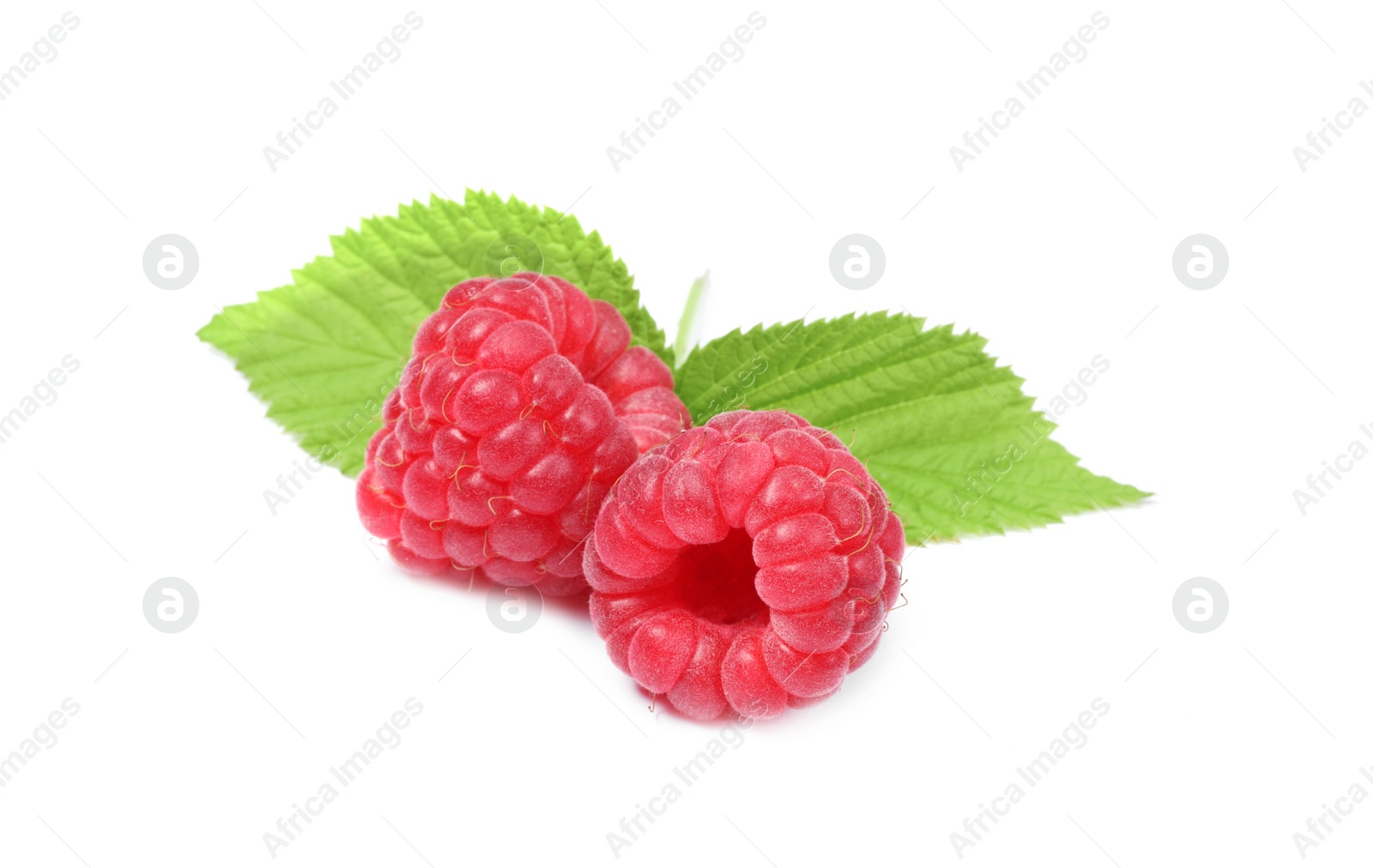 Photo of Fresh ripe raspberries and green leaves isolated on white