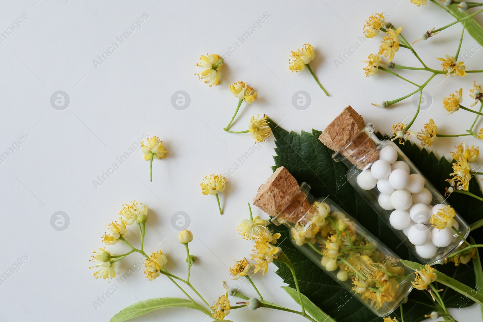 Photo of Homeopathic remedy and linden on white background, flat lay. Space for text